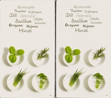 MQ 2er Glas Herdabdeckplatte mit Kräuter Motiv